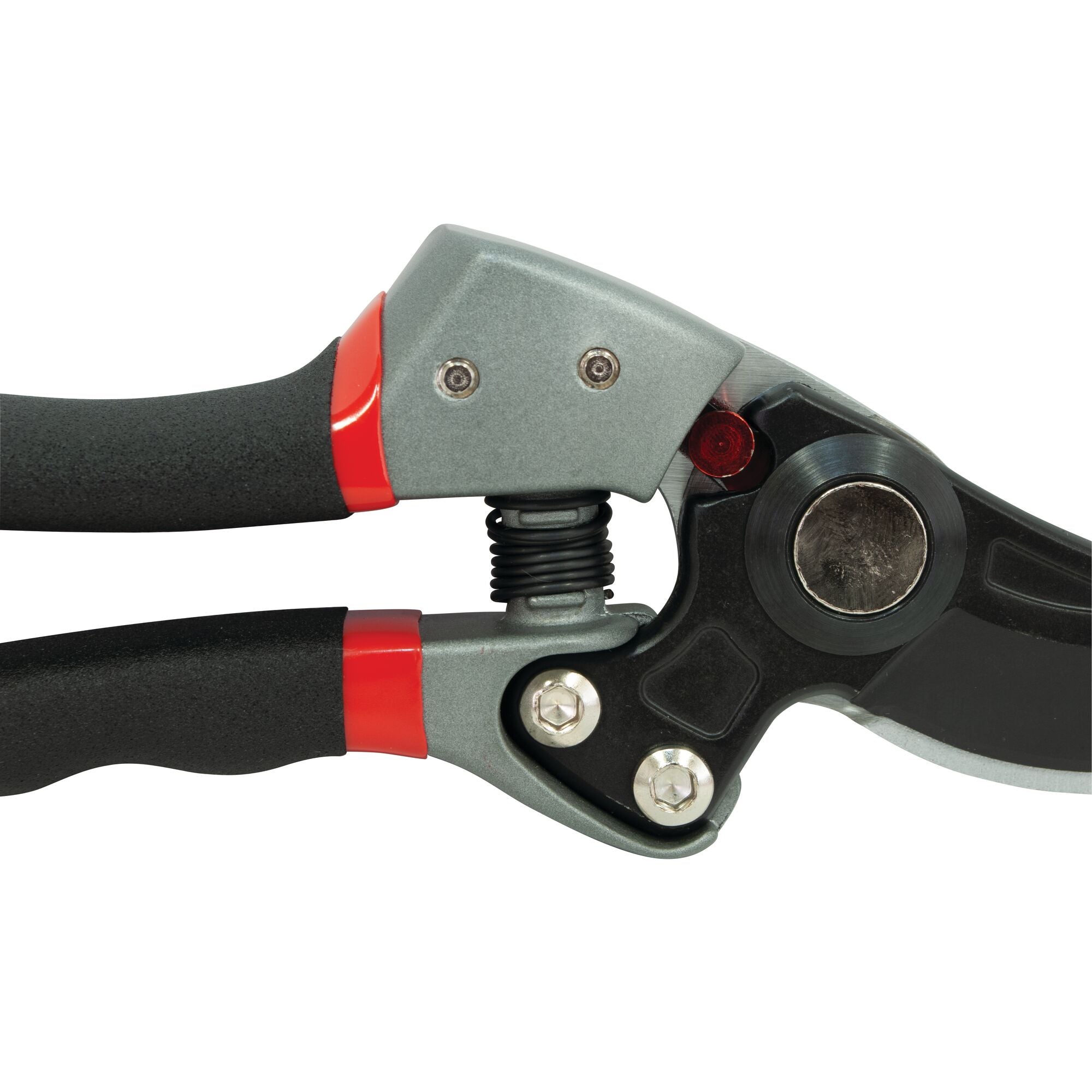 3 quarter inch diameter cutting capacity feature of 3 quarter inch cut forged bypass pruner.