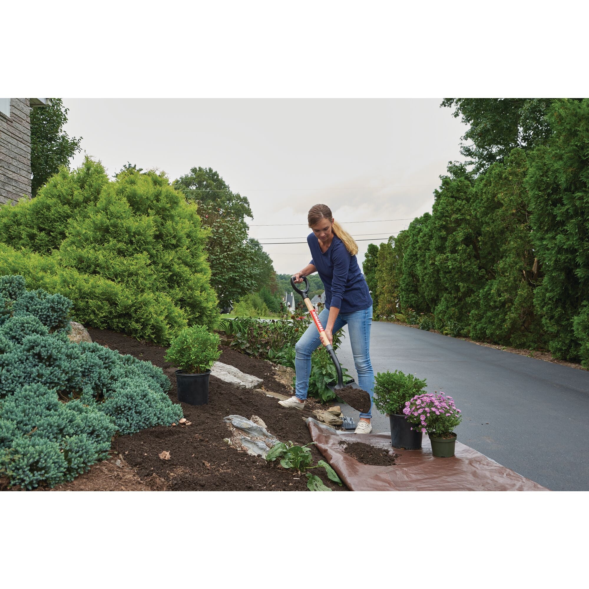 Wood handle digging shovel being used by a person to shovel dirt from a sidewalk garden.