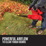 Graphic of CRAFTSMAN Leaf Blowers highlighting product features