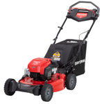 21-in. 163cc RWD Gas Self-Propelled Push Mower (M310)