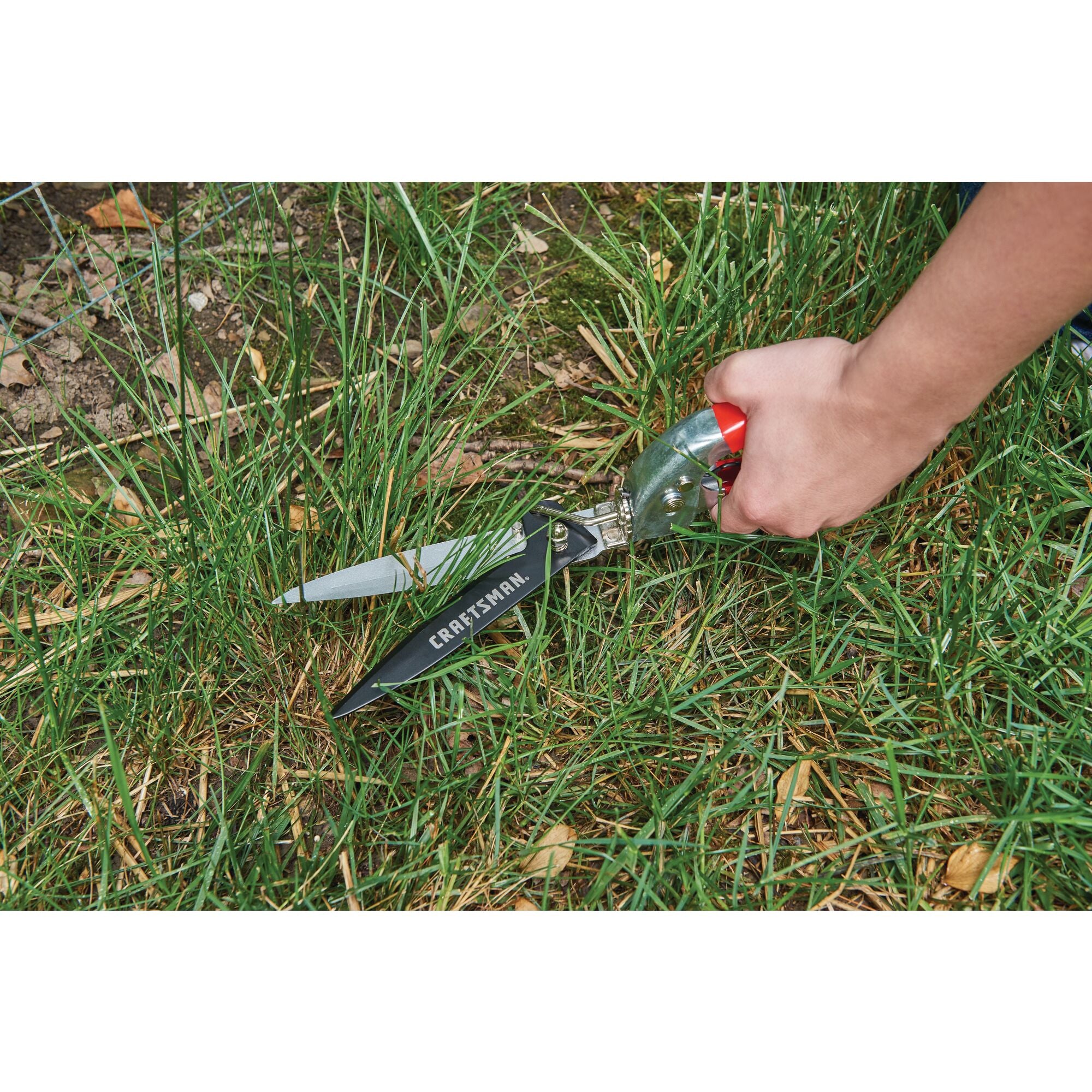 Swivel grass shears being used by a person to trim grass outdoors.