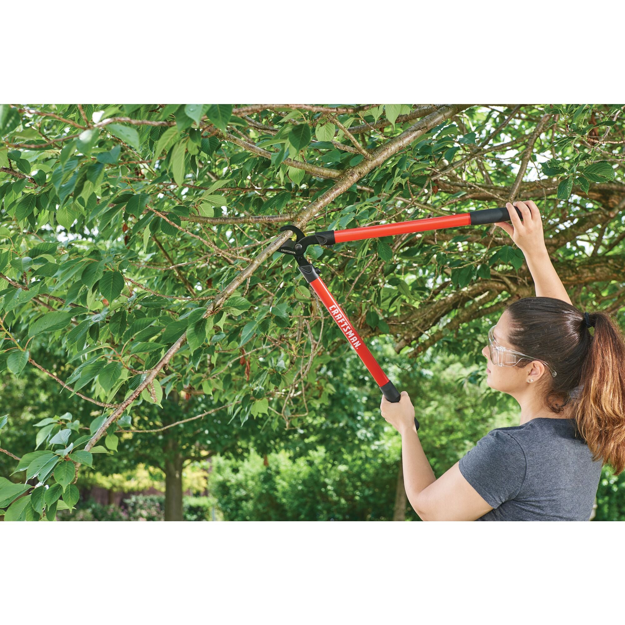 Bypass lopper being used by a person to trim a branch.