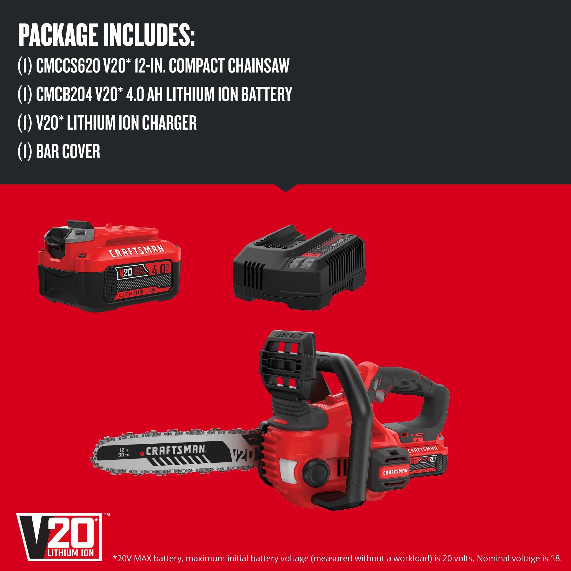 20V Max* Cordless Chainsaw Kit, 10-Inch