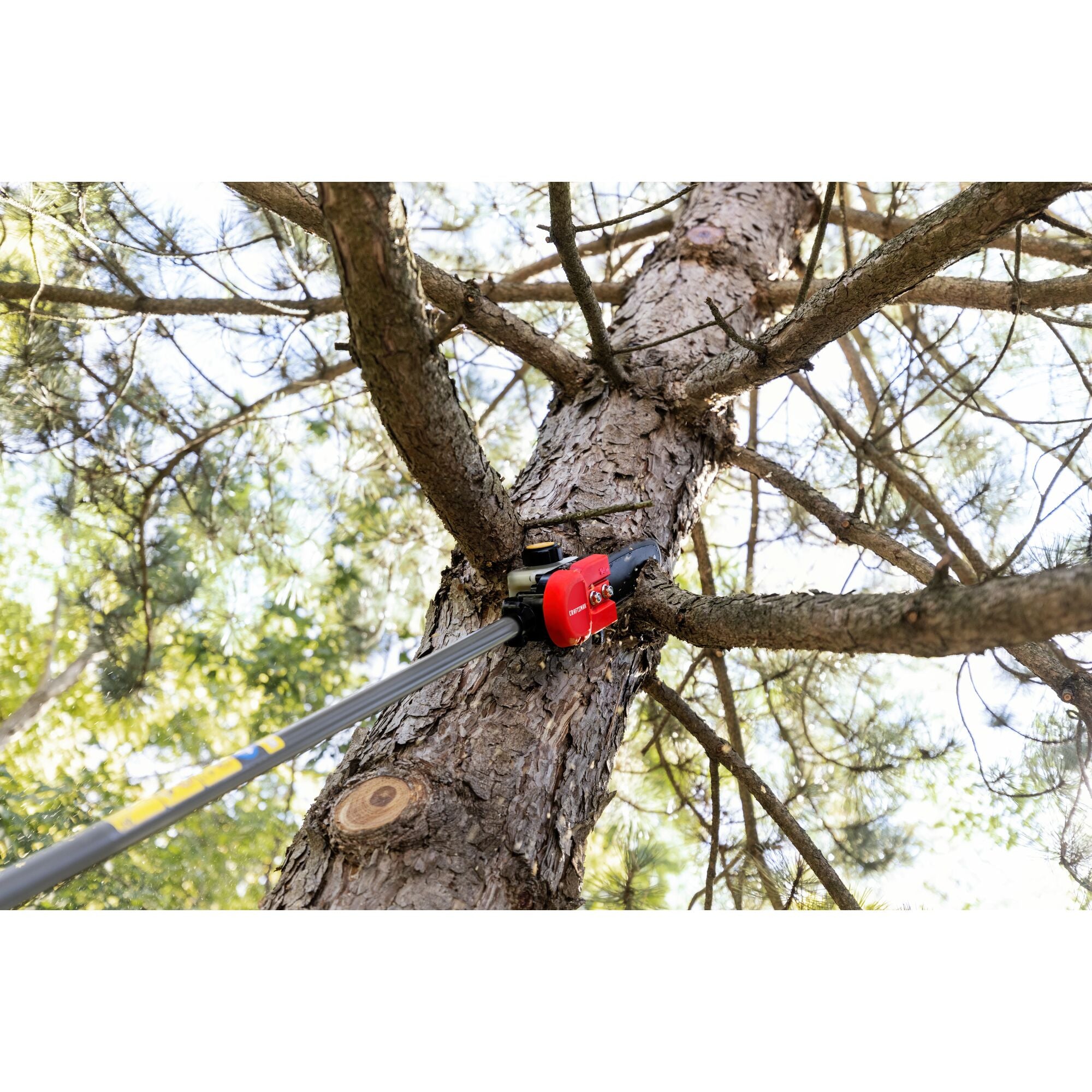 CRAFTSMAN pole saw attachment head cutting branch off of a tree 