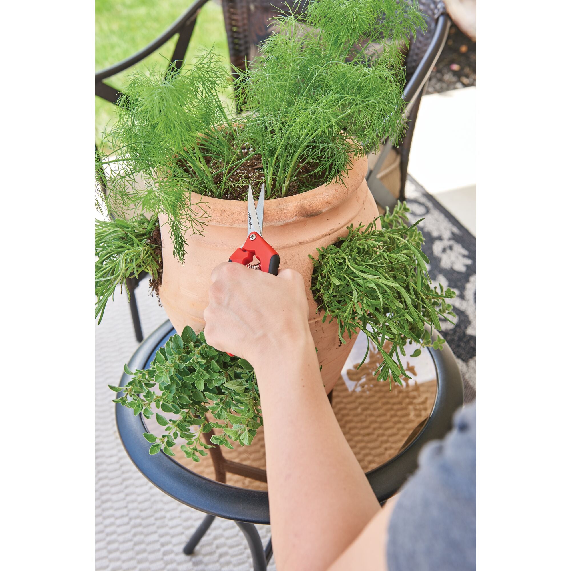 Garden snips being used by a person to cut small household plant.