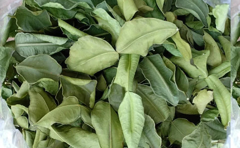 EZ THAI Dried Kaffir Lime Leaves - Essential Ingredient for Thai Cooking, 14 grams
