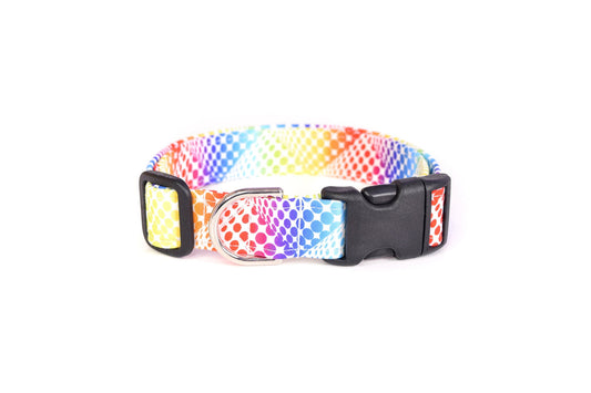 Rainbow Stripes Dog Collar