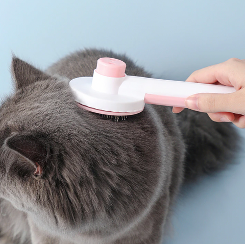 Brosse pour poil de chat | MassageCats™