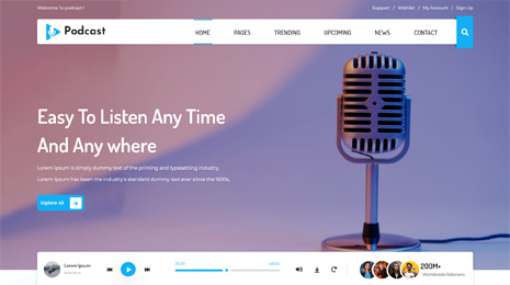 Radio WordPress Theme