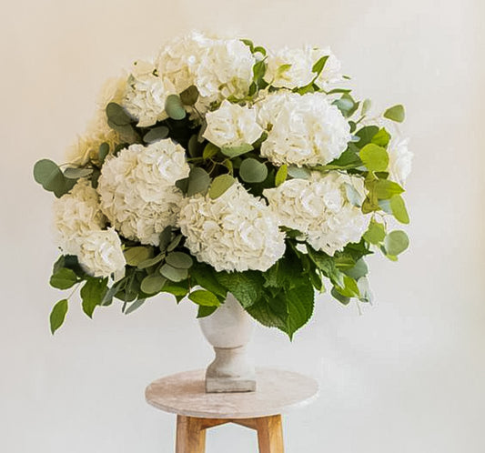 Bouquet Hydrangées blancs