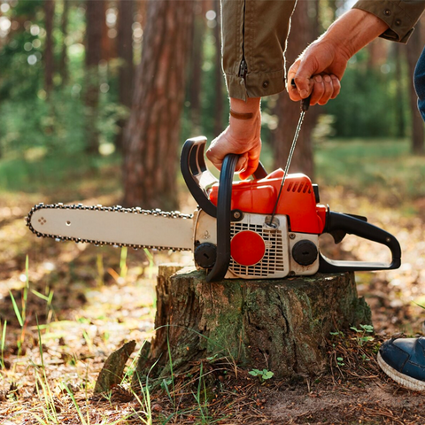 Safe Environment with Chainsaw Safety