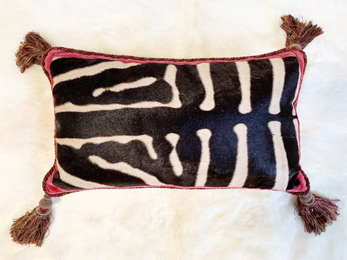 zebra pillow