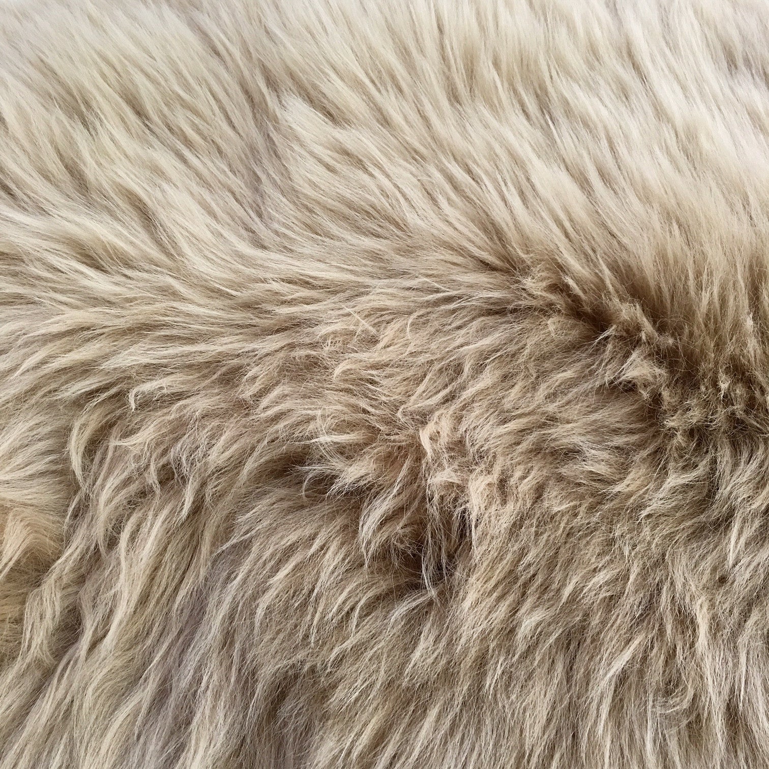 New Zealand Sheepskin Rug, Tan – FORSYTH