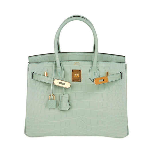 Hermes Birkin 20 Sellier Neige (Snow) White Faubourg House Alligator Bag