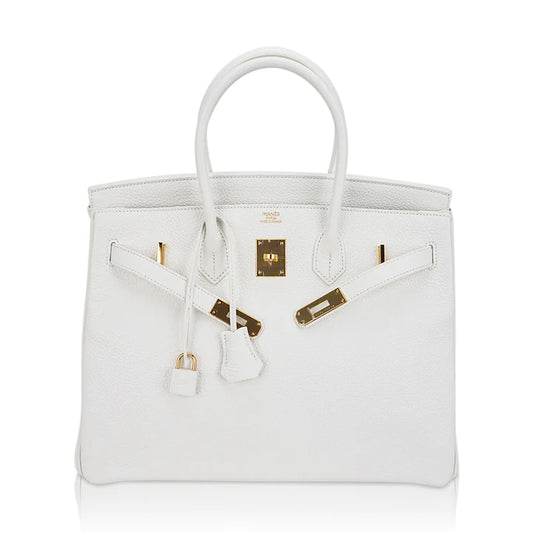 Hermes Neige Faubourg House Birkin 20 White Matte Alligator Handbag