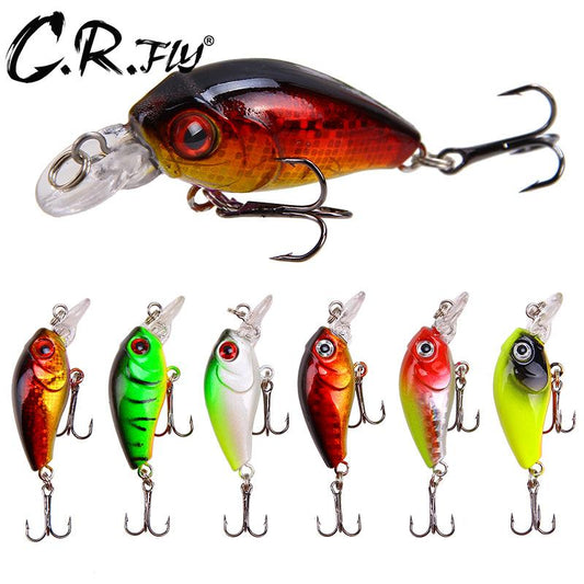 Artificial Fishing Lure – Rock Grit Gear