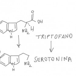 serotonina