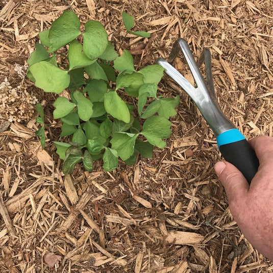 Root Slayer shovel – Metal Detecting Stuff