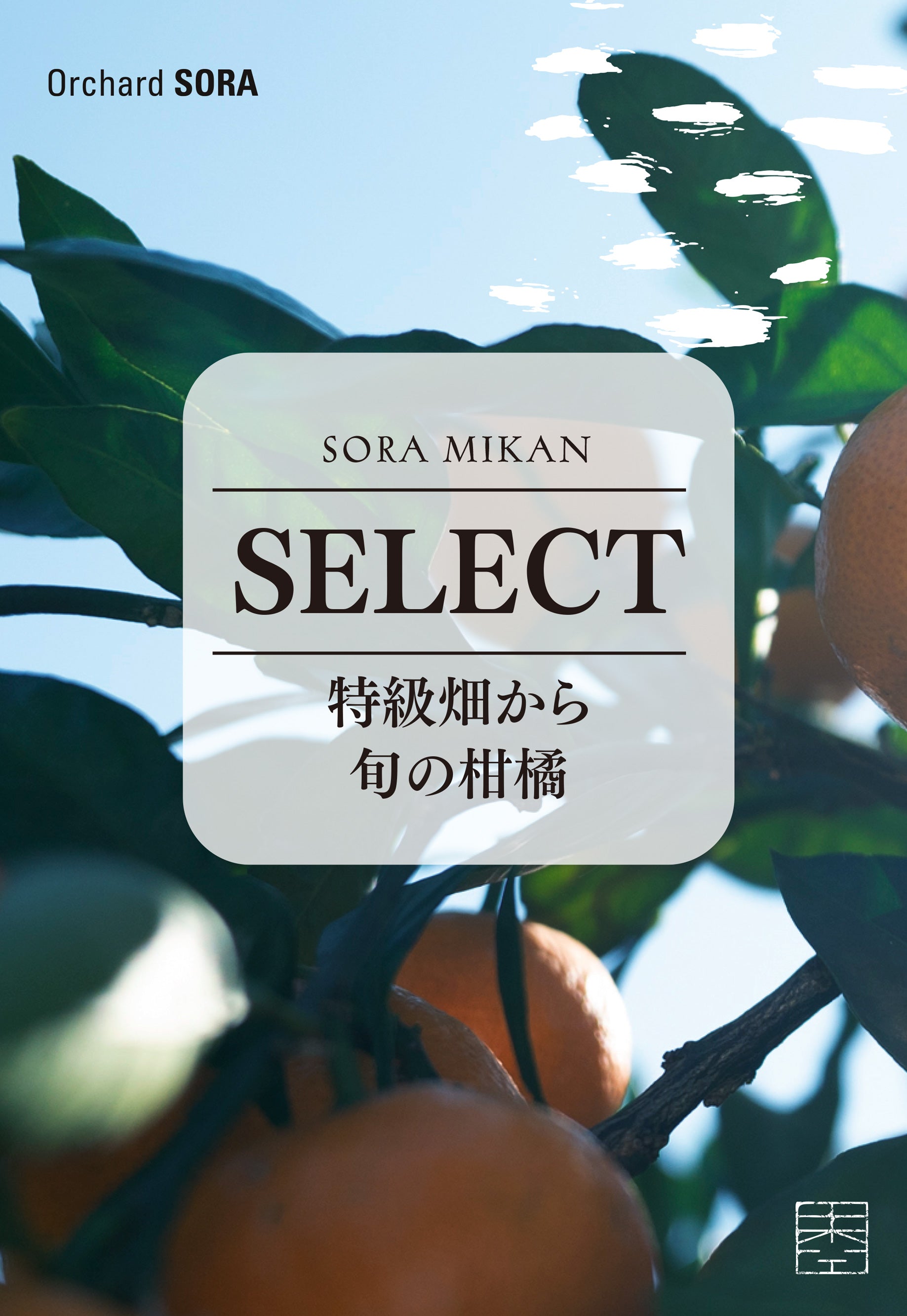 Select 特急畑から旬の柑橘