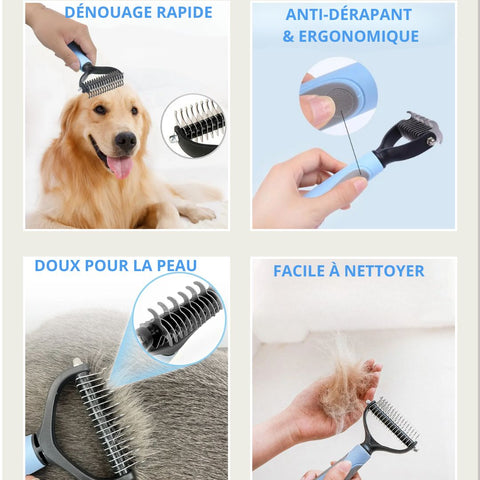 brosse-pour-chien