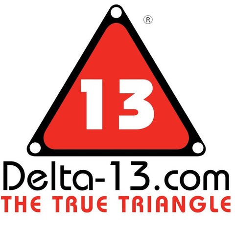 Delta-13 Logo