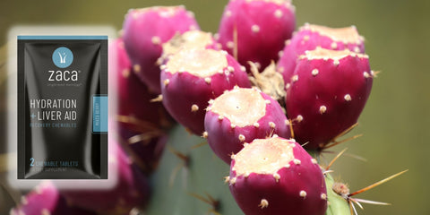 Prickly Pear Supplement