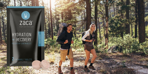 Supplement For Altitude Trips Flagstaff