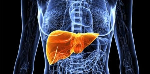 liver health for more than drinking alcohol