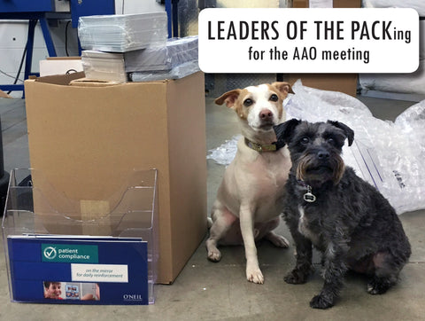 Huck and Roxie leaders of the packing for AAO 2017