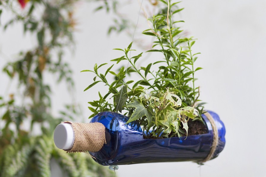 Planter from a Plastic Bottle