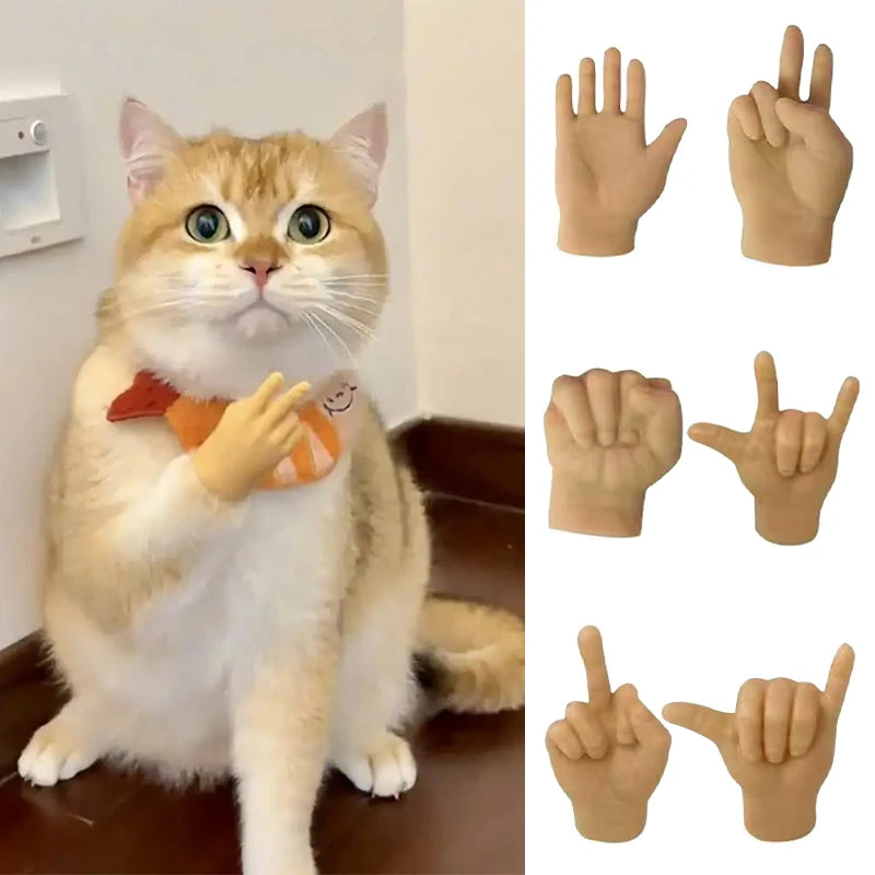 GoodlyCat cover image