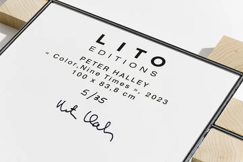 Backplate of a signed LITO Edition by Peter Halley, New York 2023
