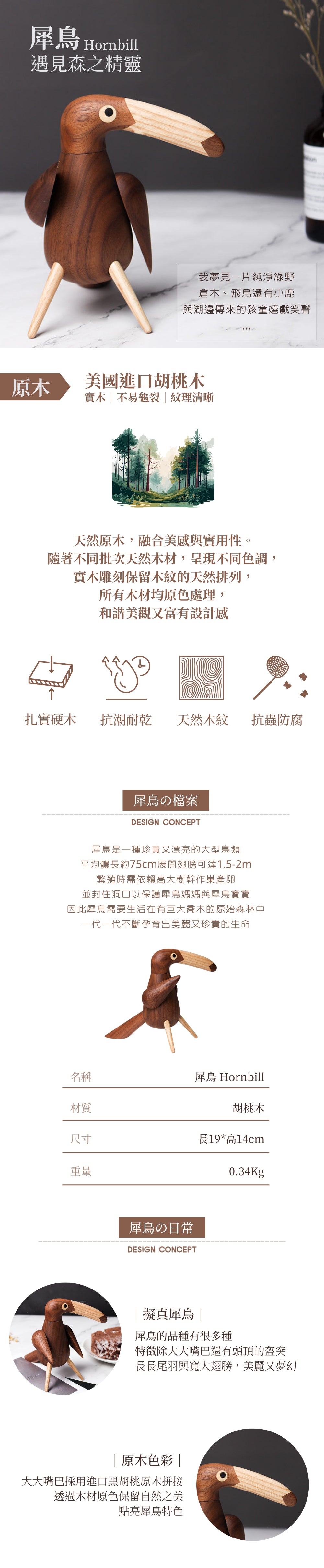 木子禮｜胡桃木犀鳥