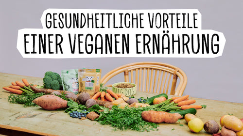 231222_BLOG_vegan_gesund.jpg__PID:d79aef22-eae7-49aa-8b9d-6bd4e3806982