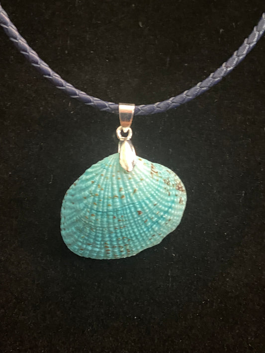 Natural Sea Shell and Leather Cord Necklace