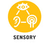 toys for development of sensory skills