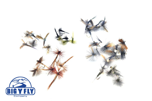 Eastern Dry Fly Assortment--54 Flies #24 — Big Y Fly Co