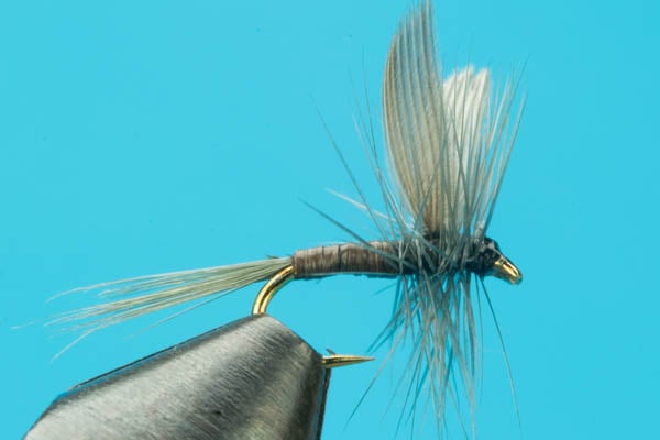 Fishing Creek, Pennsylvania Hatch Chart — Big Y Fly Co