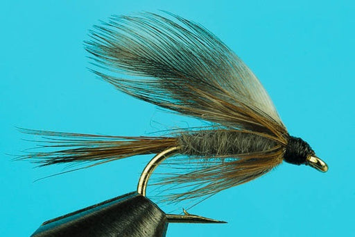 1 Fly, Orange Butt Black Pennel Wet Fly for Fly Fishing, You