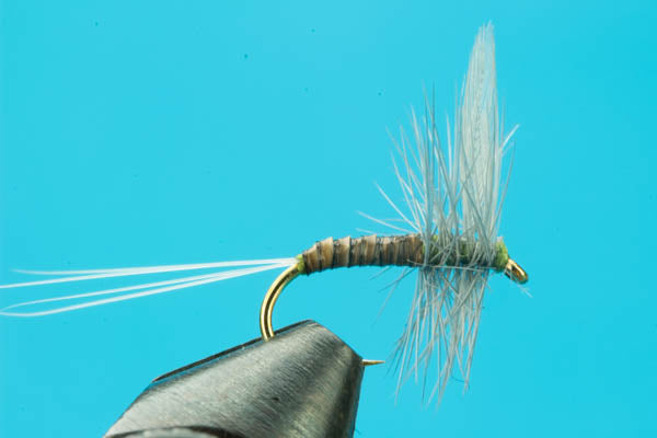 Blue Wings and March Browns- Different hatches require different strat —  Big Y Fly Co