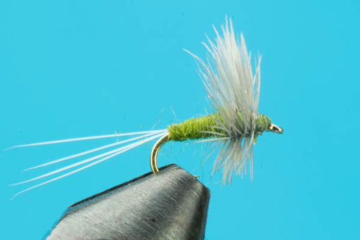 Blue Wing Olive Quill Body-Fishing Flies- — Big Y Fly Co