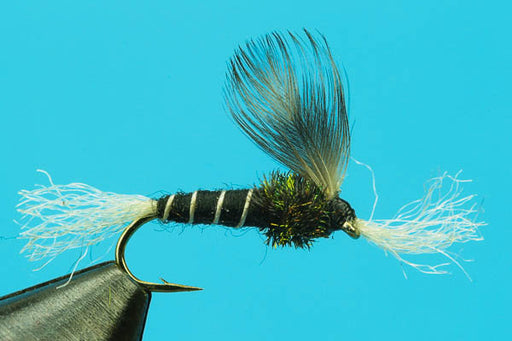 Mike's Midge Pupa-Fly Fishing Flies- — Big Y Fly Co