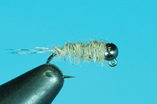 Jigged Caddis Larva-Tungsten- — Big Y Fly Co