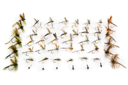 Eastern Nymph Assortment--48 Flies #25