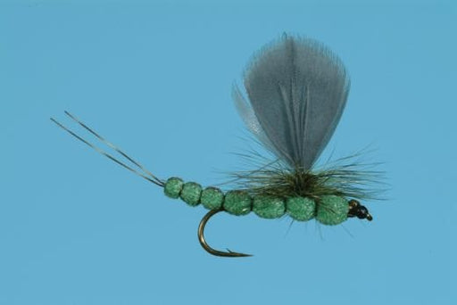 Hexagenia Foam - Solitude — Big Y Fly Co