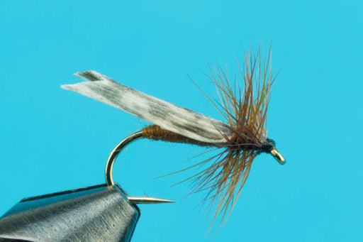 Hemingway Caddis-Discount Flies- — Big Y Fly Co