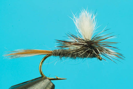 Elk Hair Caddis-Premium Discount Flies- — Big Y Fly Co