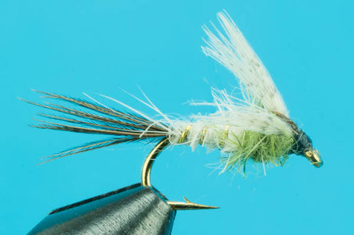 Black Quill Nymph-Discount Fishing Flies- — Big Y Fly Co