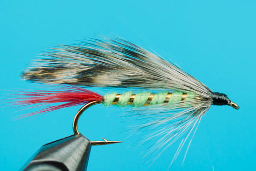 Grey Ghost-Timeless Streamers- — Big Y Fly Co