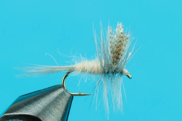 Little Manistee River, Michigan Hatch Chart — Big Y Fly Co